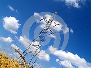Power line and rice field 2
