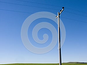 Power line rising above green grass