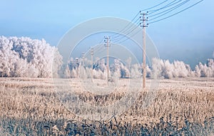 Power line in the snow covered field