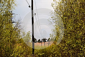 Power line support. Rustic wooden Telegraph pole full length against a blue sky with clouds. Electric pole with wires in