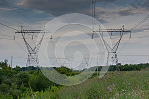 Power Line Tower Perspective in Green Field with Wild Purple Flowers