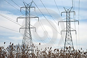 Power Line Towers and Bulrush