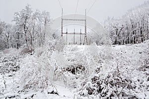 Power Line in winter