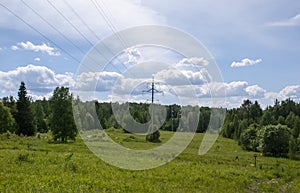 Power line in the wood