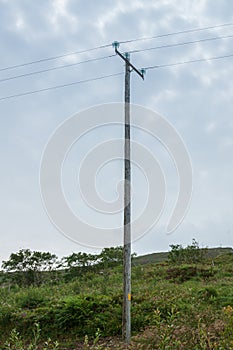 Power line with wooden poles on a green field