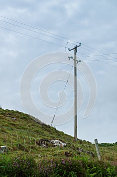 Power line with wooden poles on a green field