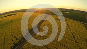 Power lines and agricultural field. Sunset