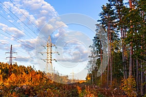 Power lines on the background of forest and sky at sunset