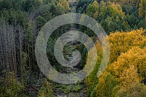 power lines in the Chernobyl exclusion zone