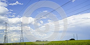 Power lines over a canola farm in Aberta Canada photo