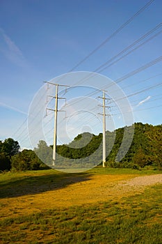 Power lines, perspective vertical image