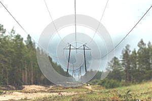 Power lines. Power transmission towers pine forest.Selective focus