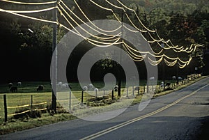 Power lines and a road during sunset in Wheelock, Vermont