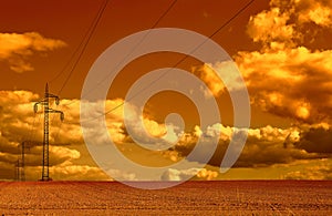 Power lines running across a wheat field at sunset