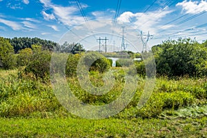 Power lines in summer season