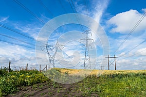 Power lines in summer season