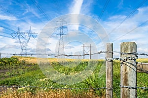 Power lines in summer season