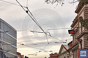 Power lines for trams and trolleybuses in the city