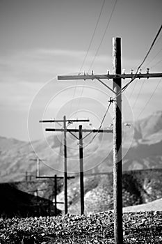 Power lines utility poles b&w