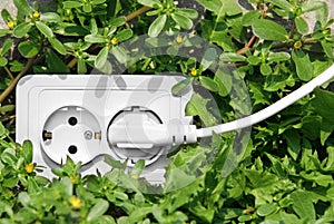 Power outlet in green grass