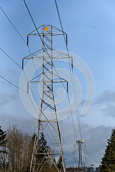 Power pilons and power lines on a sunny blue sky day, tower in the background with wireless antennas