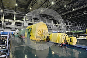 Power plant, electric generator