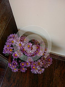 Floor flower