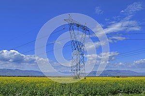 Power Pole in field