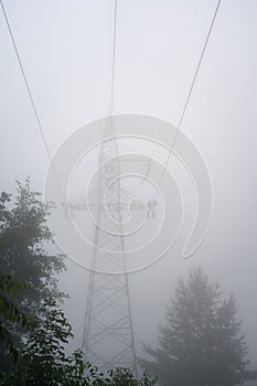 Power pole and transmission lines disappearing in the fog