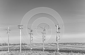 Power posts and lines in the countryside