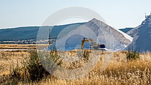 Power shovel machinery in front of a large mountain of salt