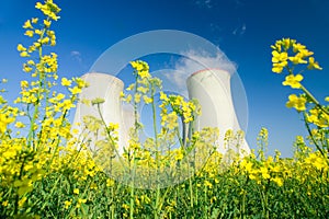 Power station chimneys