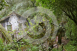 Power station ruins in zacatlan, puebla I