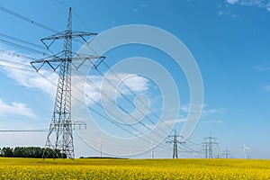 Power supply lines in a field of blooming oilseed