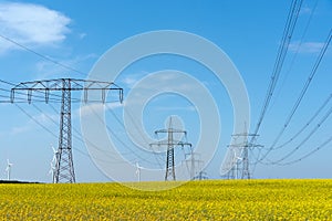 Power supply lines in a field of flowering oilseed