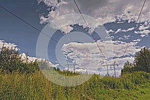 Power transmission line through the forest