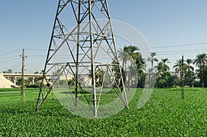 Power transmission line support in the field