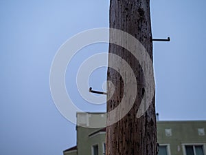 Power utility pole in residential area with foot steps to climb