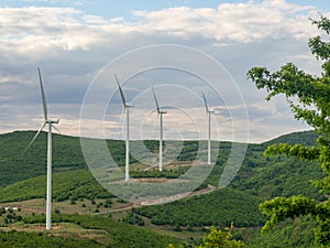 Power wind mills in banat region, romania