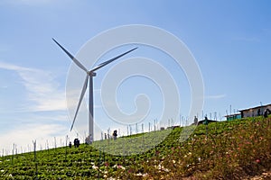 Power of wind turbine generating electricity clean energy with c