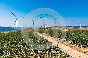 .Power of wind turbine generating electricity clean energy with cloud background on the blue sky.Global ecology.Clean energy