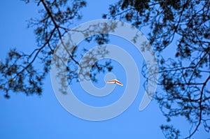 Powered gliders