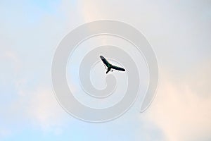 Powered hang glider flying in blue sky, motorized hang glider overhead view, copy space