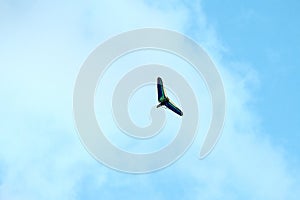 Powered hang glider flying in blue sky, motorized hang glider overhead view, copy space