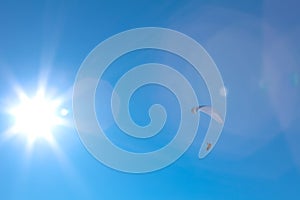Powered paragliding with the sun