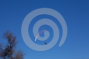 Powered paragliding with the tree