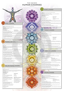 Powerful 7 Chakra - Infographic poster wallpaper including detailed description, characteristics and features