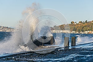 Powerful Alki Waves 10