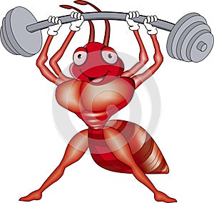 Powerful ant with great strength holding some weights.