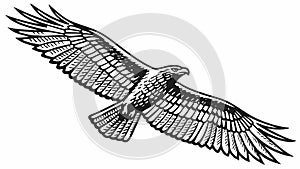 Powerful bald eagle illustration in flight with detailed feathers, vector design Generative AI photo